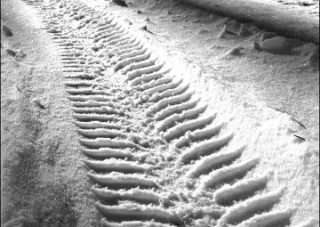 Спряно е движението в областите Силистра, Русе, Добрич, Шумен и Разград