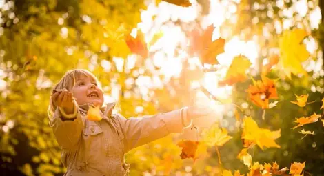 Хладен уикенд ще доведе нова седмица със златна есен