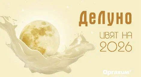Роден от луната: „ДеЛуно“ е цветът на 2026 година, според колористите на „Оргахим“ той носи така необходимите ни тишина и спокойствие Роден от луната: „ДеЛуно“ е цветът на 2026 година, според колористите на „Оргахим“ той носи така необходимите ни тишина и спокойствие