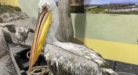 "Екомузей. Първите 10 години" - разказ от първо лице за дългия път и осъществената мечта