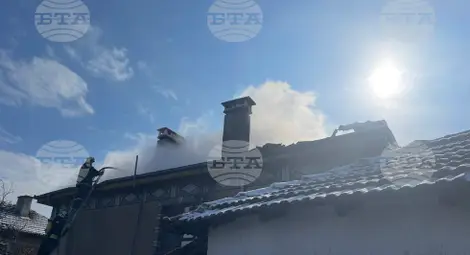 Снимка: БТА