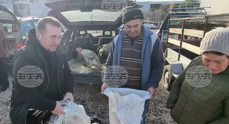 Снимка: БТА Снимка: БТА