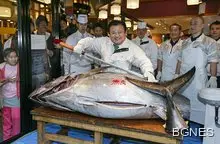 Канадско момче хвана 220-килограмова риба тон