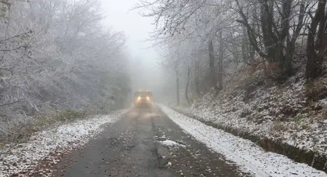 От минус 15 до плюс 15 градуса през януари