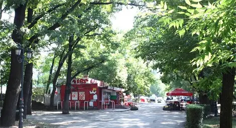 Очевидци: Битият в Борисовата градина експлоатираше деца да му носят пари