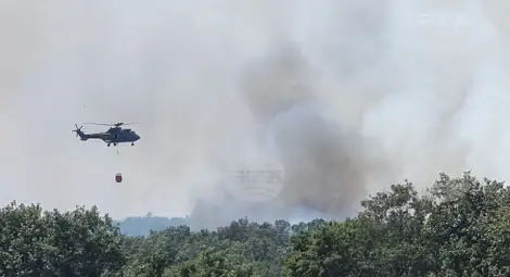 Снимка: БТА