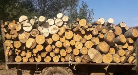 И камион влезе в списъка на конфискуваните от горските возила