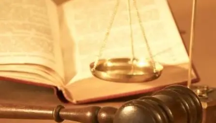 Пращат на германски съд селска мошеничка, точела сметки