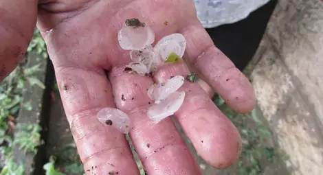 Буря и градушки удариха Плевен и Враца