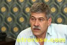 М. Нейков: Трябва държавна политика за проблема с бездомните кучета