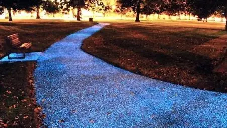 Учени откриха светещ асфалт