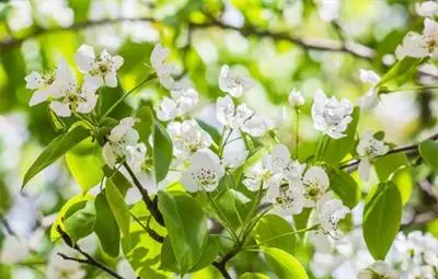 Температурите до 26° в четвъртък Температурите до 26° в четвъртък