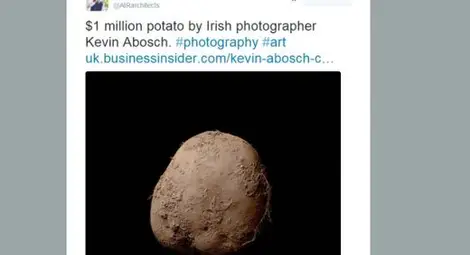 Бизнесмен купи снимка на картоф за 1 млн. евро