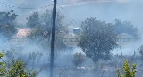 Снимка: БТА Снимка: БТА