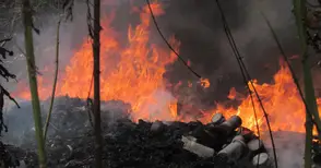 Голям пожар плъзна към крайните къщи на Селеметя