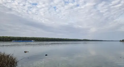 Шофьор на украински тир се удави при къпане в Дунав