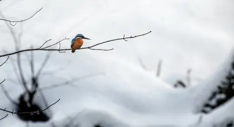 Слънчево и студено време днес