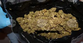 Над един килограм сух канабис са иззели полицейски служители във Видин