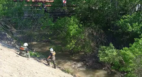 Община Русе предприе действия по почистване на участък от Русенски Лом