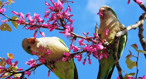 Настъпва астрономическата пролет