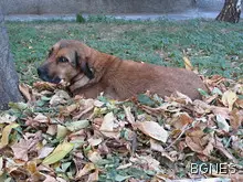 Есента идва