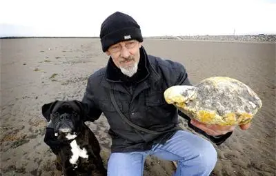 Мъж намери повърнато от кит и се чуди дали да вземе 50 000 евро за него