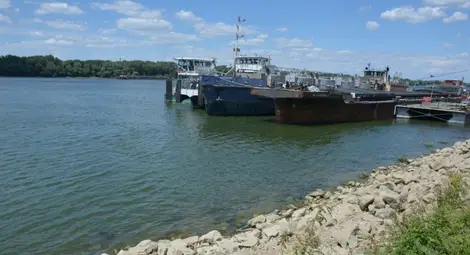 Мартин Димитров: Военният Шенген може да ускори пускането на ферибота Русе-Гюргево