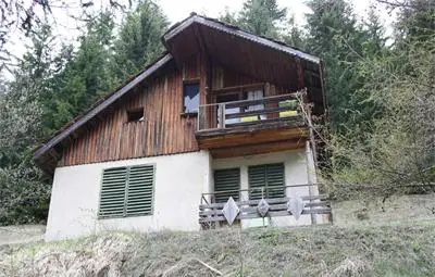 Овчар с инфаркт след нападение на 250-килограмова мечка