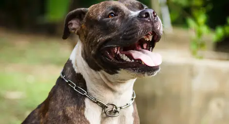 Снимката е илюстративна