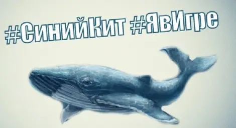 Родители, приятели... как да предпазим детето от "Син кит"?