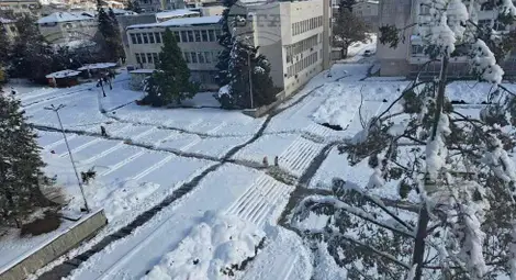 Снимка: БТА