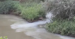 Фирма от Западна промишлена зона засечена да пуска цветни води в Лома