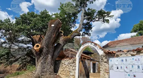 Снимка: БТА Снимка: БТА