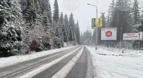 Снимка: БТА