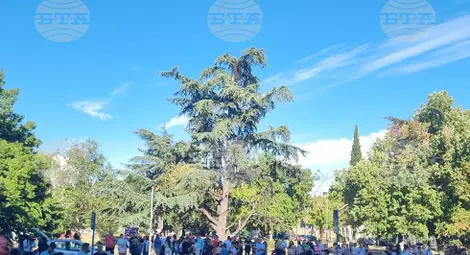 Снимка: БТА