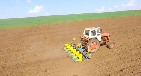 Засяха над 550 хиляди дка  пролетници в Русенско