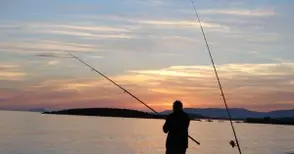 Пълна забрана за стопански риболов в 23 участъка по Дунав