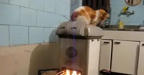 10 предписания и 2 акта съставени за  отопление с опасни отпадъци за месец