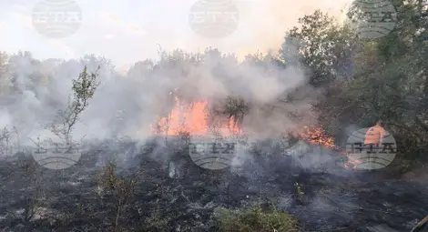 Снимка: БТА Снимка: БТА