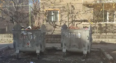 "Нелсен Чистота": Не хвърляйте сухите листа в контейнерите, оставяйте ги в торби до тях "Нелсен Чистота": Не хвърляйте сухите листа в контейнерите, оставяйте ги в торби до тях