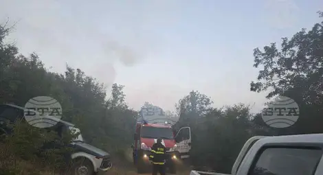 Снимка: БТА Снимка: БТА