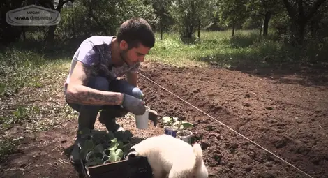 Фонд „Земеделие“ изплати 1,6 милиона лева на млади земеделски стопани Фонд „Земеделие“ изплати 1,6 милиона лева на млади земеделски стопани