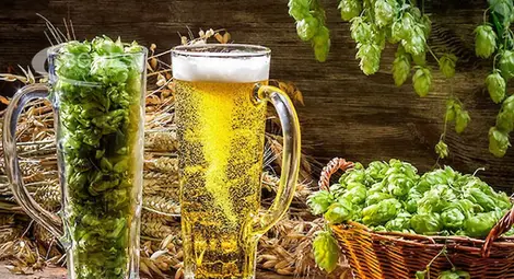 Ново изследване за биологично-активните съставки на пивото Ново изследване за биологично-активните съставки на пивото