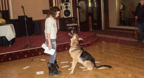 Четящо куче изуми журито на русенските таланти