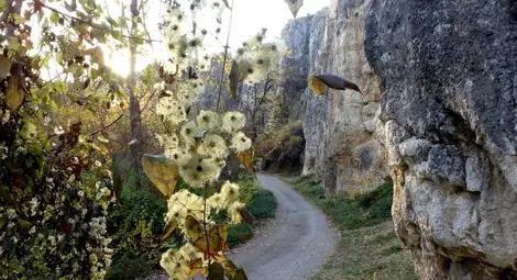 Дружество „Приста“ повежда туристи по пътеката на монасите исихасти Дружество „Приста“ повежда туристи по пътеката на монасите исихасти