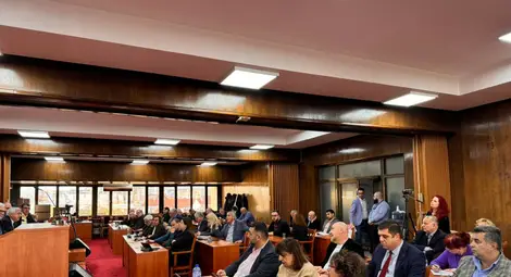 Нова програма за овладяване на популацията на безстопанствените кучета прие Общинският съвет в Русе