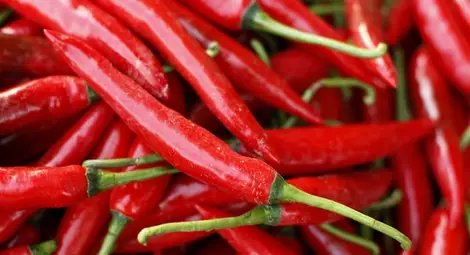 От днес стартира конкурсът за най-добра рецепта с люти чушки