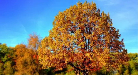 Есента наближава, но топлото време остава поне до 10 септември Есента наближава, но топлото време остава поне до 10 септември