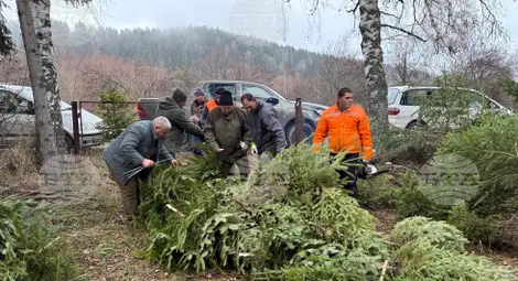 Снимка: БТА