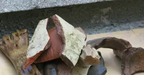 Приключиха първите частни  разкопки на Сексагинта Приста